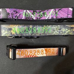 Dog Collars 