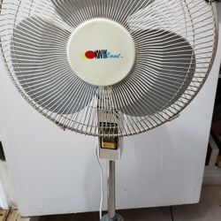 Beige Fan 16"