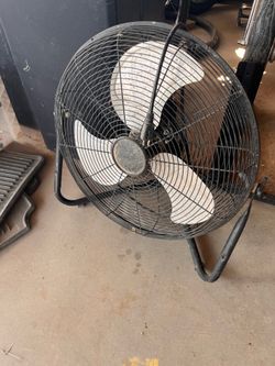 Fan