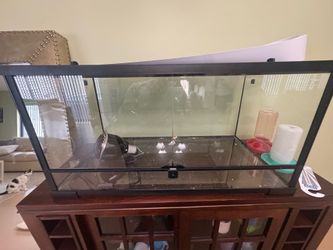 Lizard cage