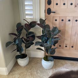 2 Fake Plants