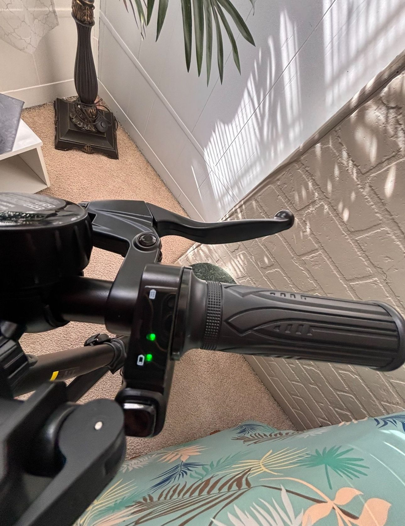 E Bike NEED GONE ASAP!!!