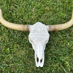 Wall Decor Bull Skull 