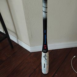 Fastpitch Softball Bat 