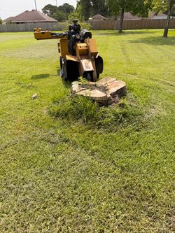 121 stump grinding