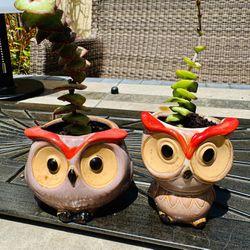 🦉 ♥️- Two Owl Planters - w Blooming pagoda plant succulents