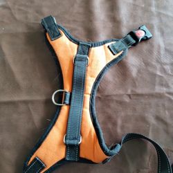 Dog Harness 