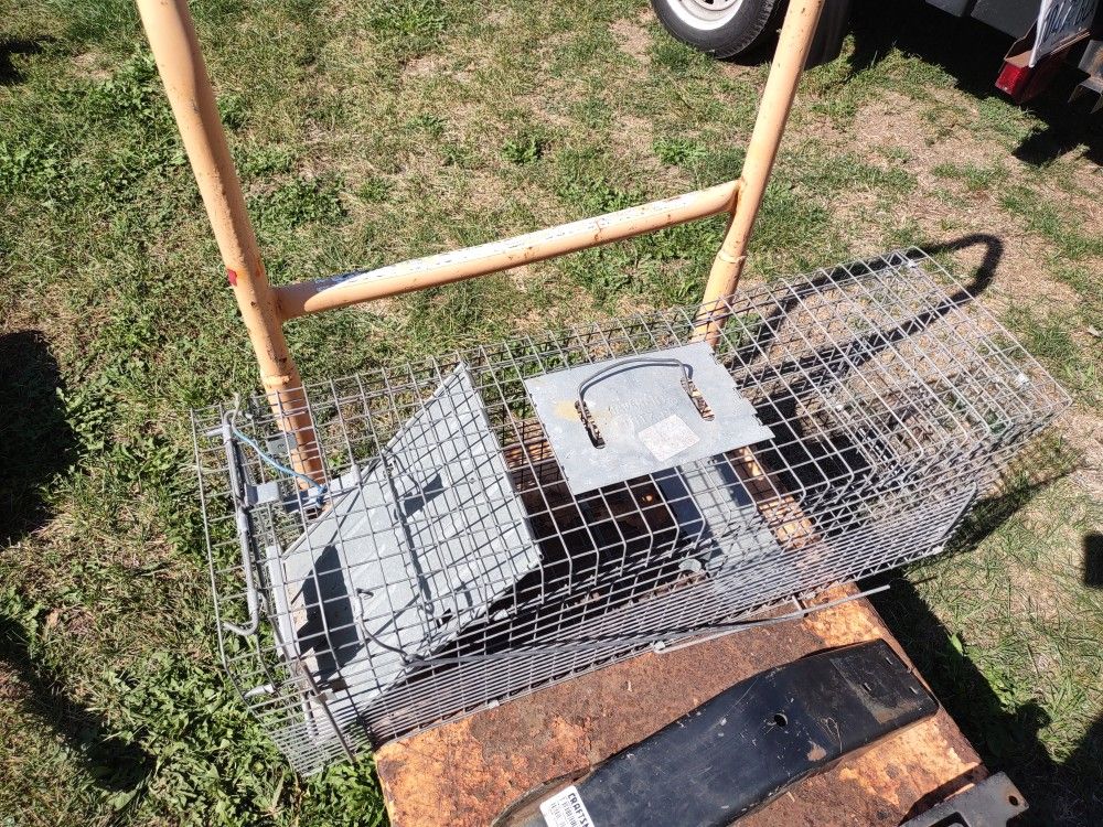 Raccoon Wildlife Trap No Kill