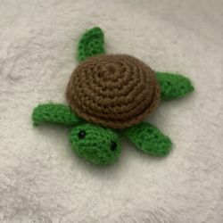 🐢 Pebbles The Turtle 