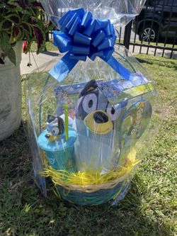 Boys bluey Easter basket