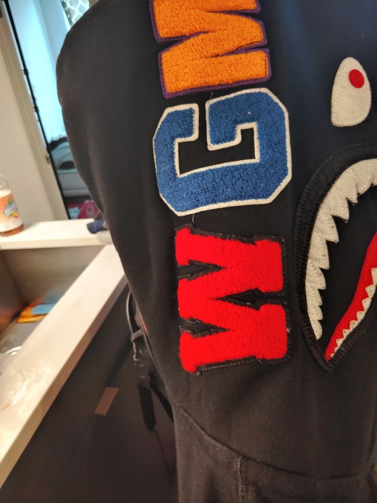 A Bathing Ape Jacket