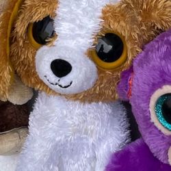 Cookie, The Dog Beanie, Boo