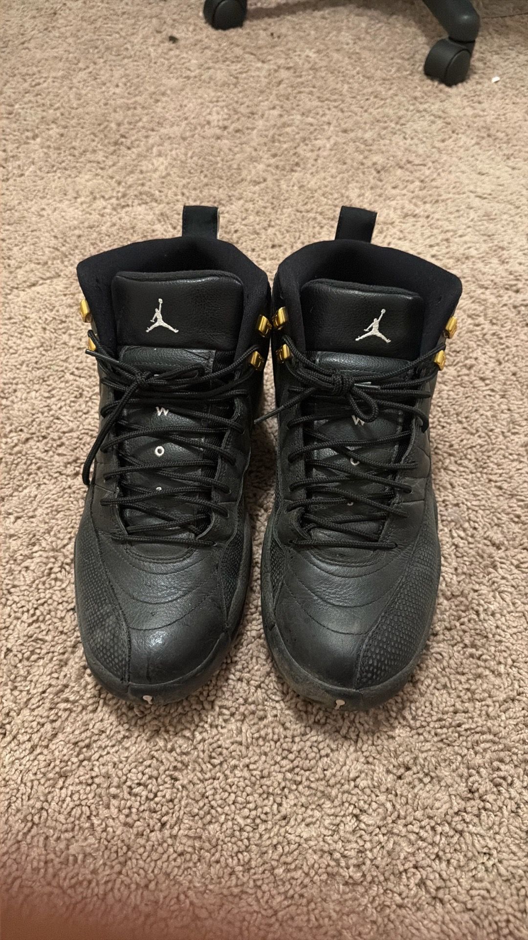 Air Jordan 12 Retro "The Master