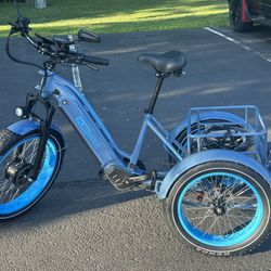 TriHauler Cargo Fat Tire Etrike