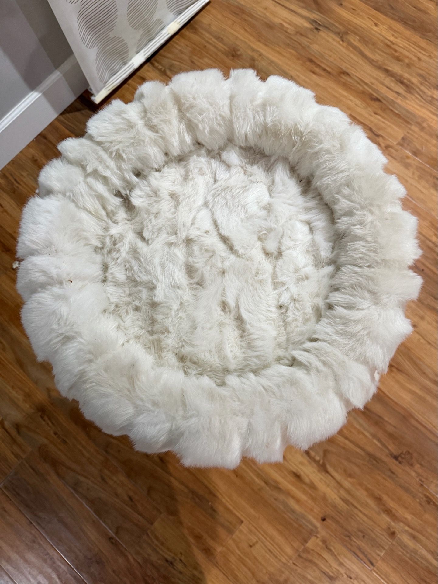 Cat scratcher