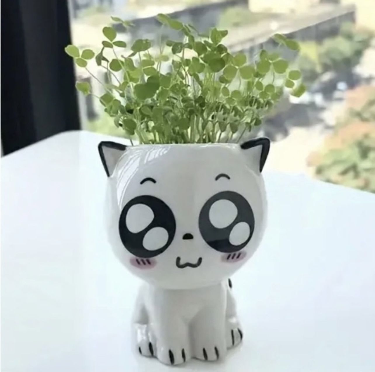 Big Eyed Cat Anime Ceramic Mini Succulent Pot 2.76"