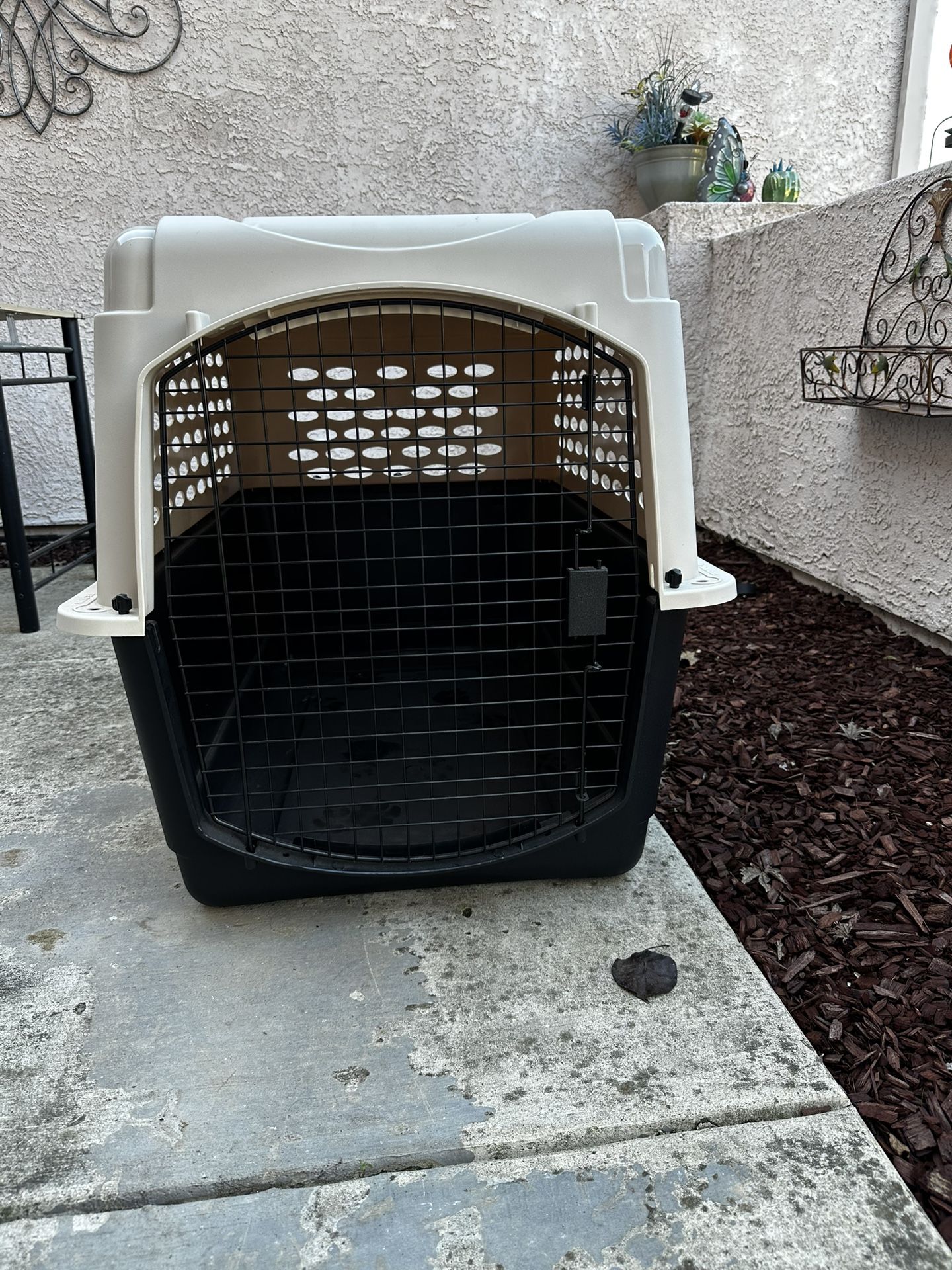 Frisco Plastic Dog & Cat Kennel, Almond & Black, X-Large