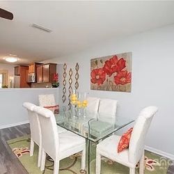 Glass Dining Room Table and 8 Chairs 