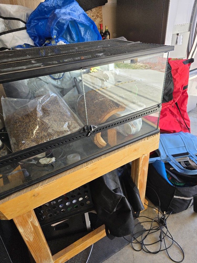 Reptile Tank And Accessories And Homemade Stand