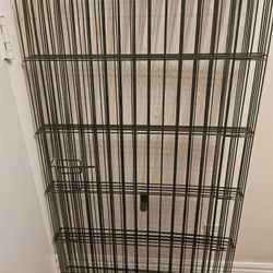 Dog Supplies
