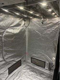 Cob LED grow light