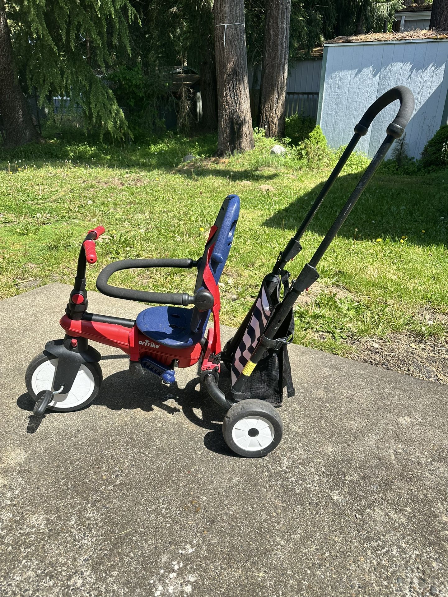 Baby Tricycle 