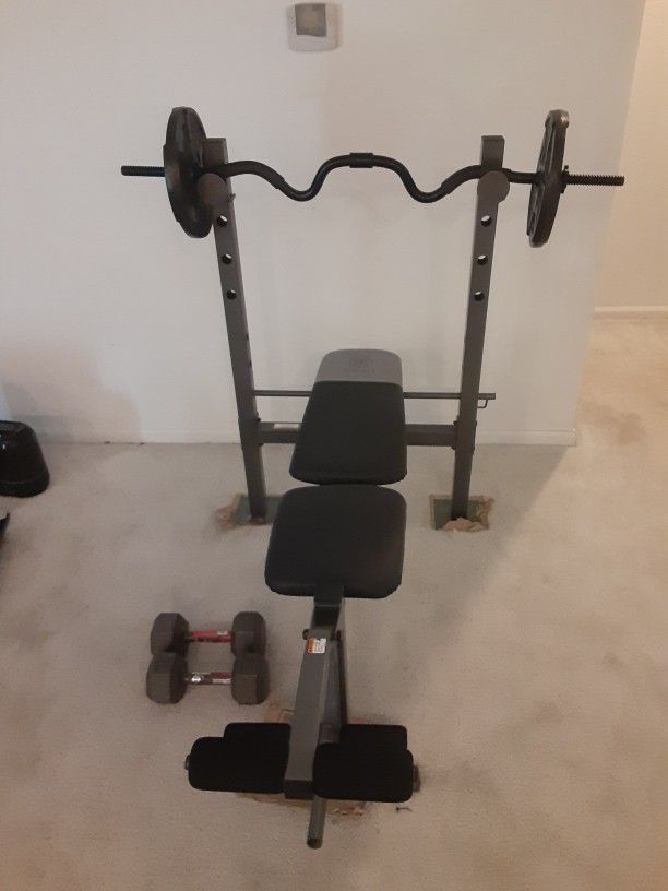 Golds Gym Weight Bench With Curl Bar And Weights. 25 Lbs Dumb Bells.