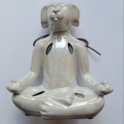 White Iredescent Dog In Yoga Position With Potpourri
