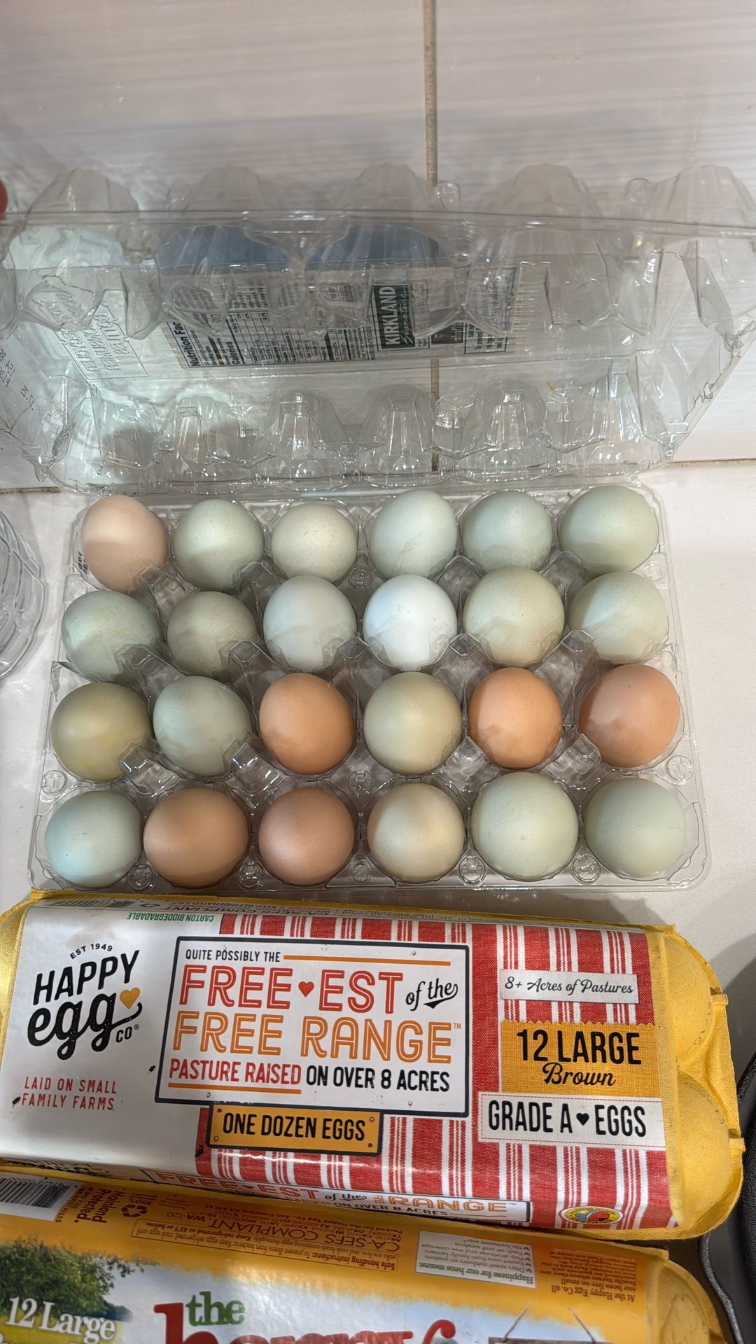 Fresh Eggs