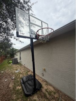 Lifetime Adjustable Basketball Hoop