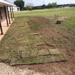 Bermuda Sod Planted