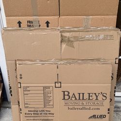 Bailey Moving Boxes