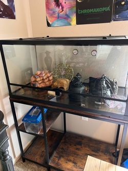 25 gallon tank