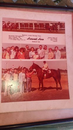 Royal Anthem & Harvest Hero 15$ Ea 