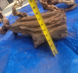 Natural Driftwood Piece for Aquarium or Decor