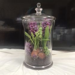 Hyacinth Flower Displayed in Glass Jar Home Decor Apothecary Jar.