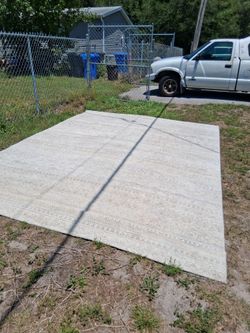 BIG BEAUTIFUL AREA RUG