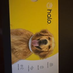 Halo Dog Collar 