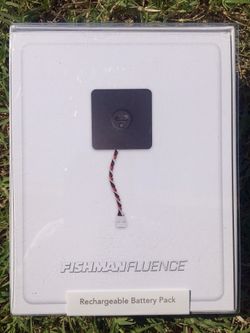 Fishman Fluence Rechargeable Battery Pack