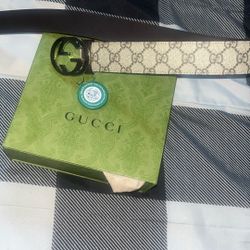 gucci belt 