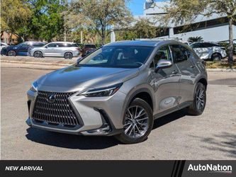 2024 Lexus NX 250