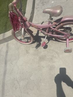 Bicycles For Adults And Little Girls