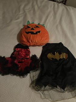 Size Small Dog Costumes 