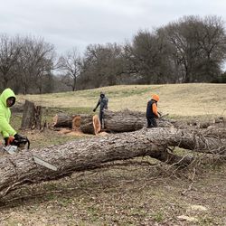 GOOD PRICE ON 🌳🌳Removal 