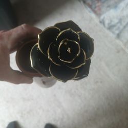 24 Karat Rose