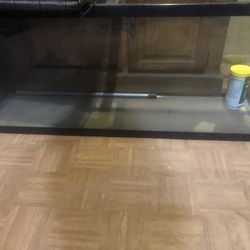 40 Gallon Tank 