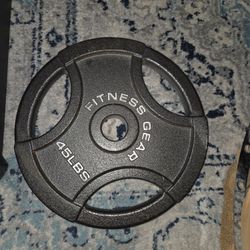 2 -  45 Lb Olympic Weights