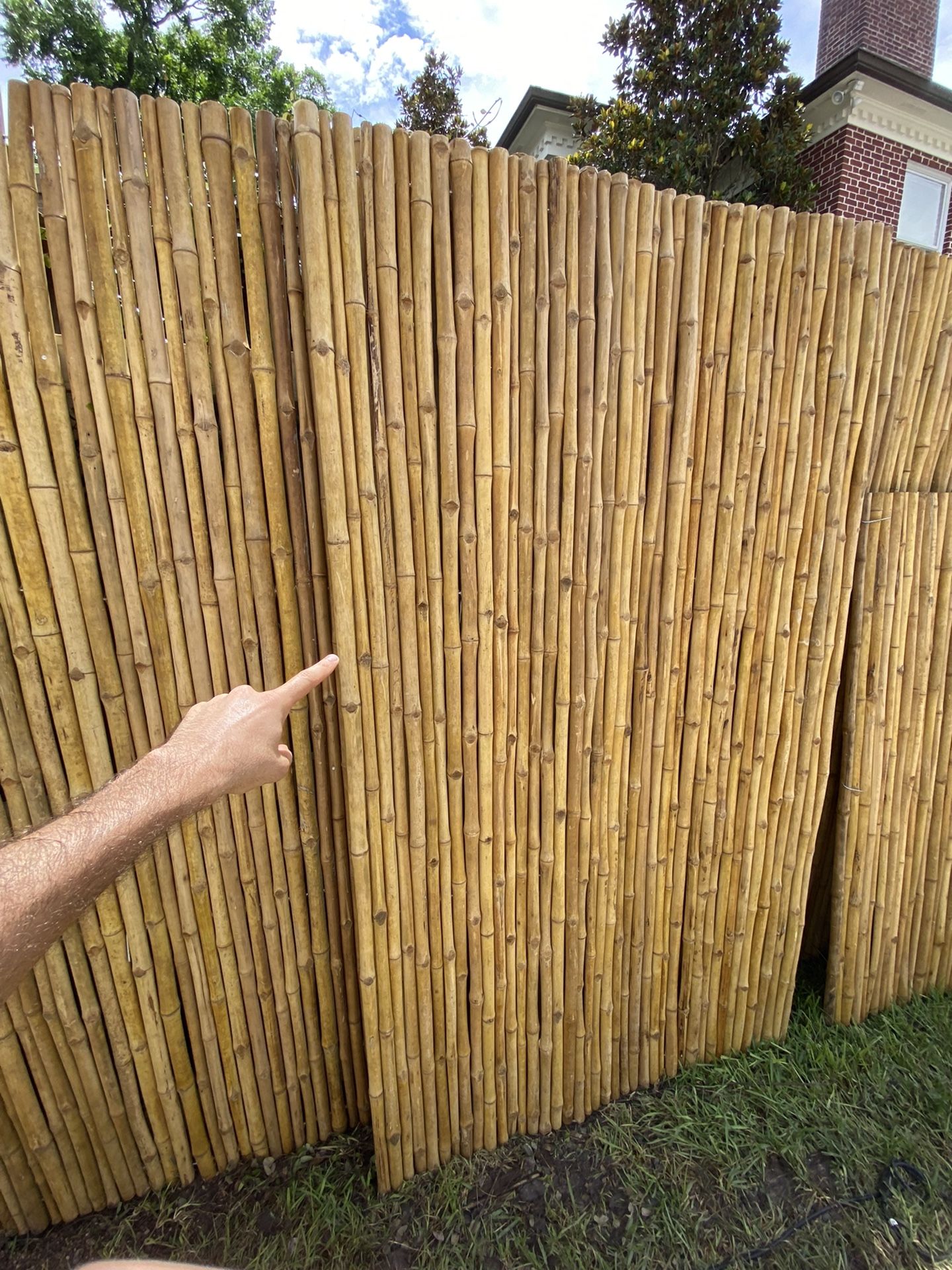 Bamboo Fence Panels 6x8 Each $500