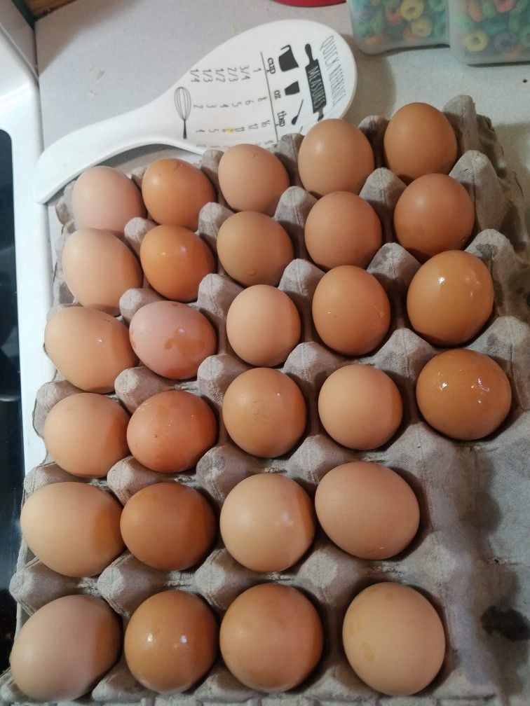 Eggs