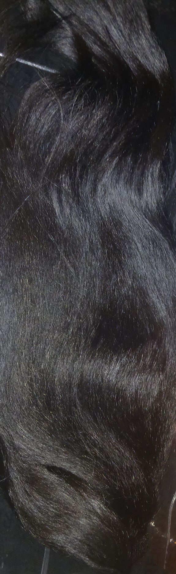 Black Hair Ponytail
